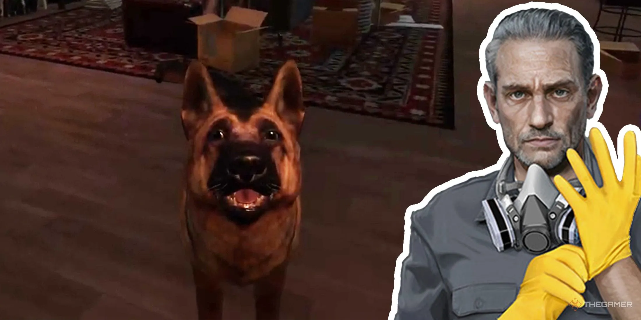 糟糕,面临三连败,及伤病问题,开云体育,开云体育官网,开云体育app,开云体育app下载