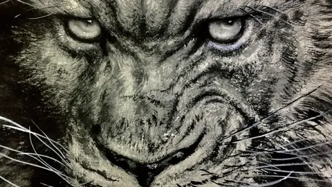 英媒称纽卡考虑先租后买签下马杜埃凯，同时关注库卢动态