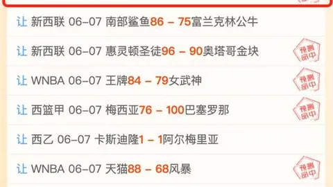 开云体育